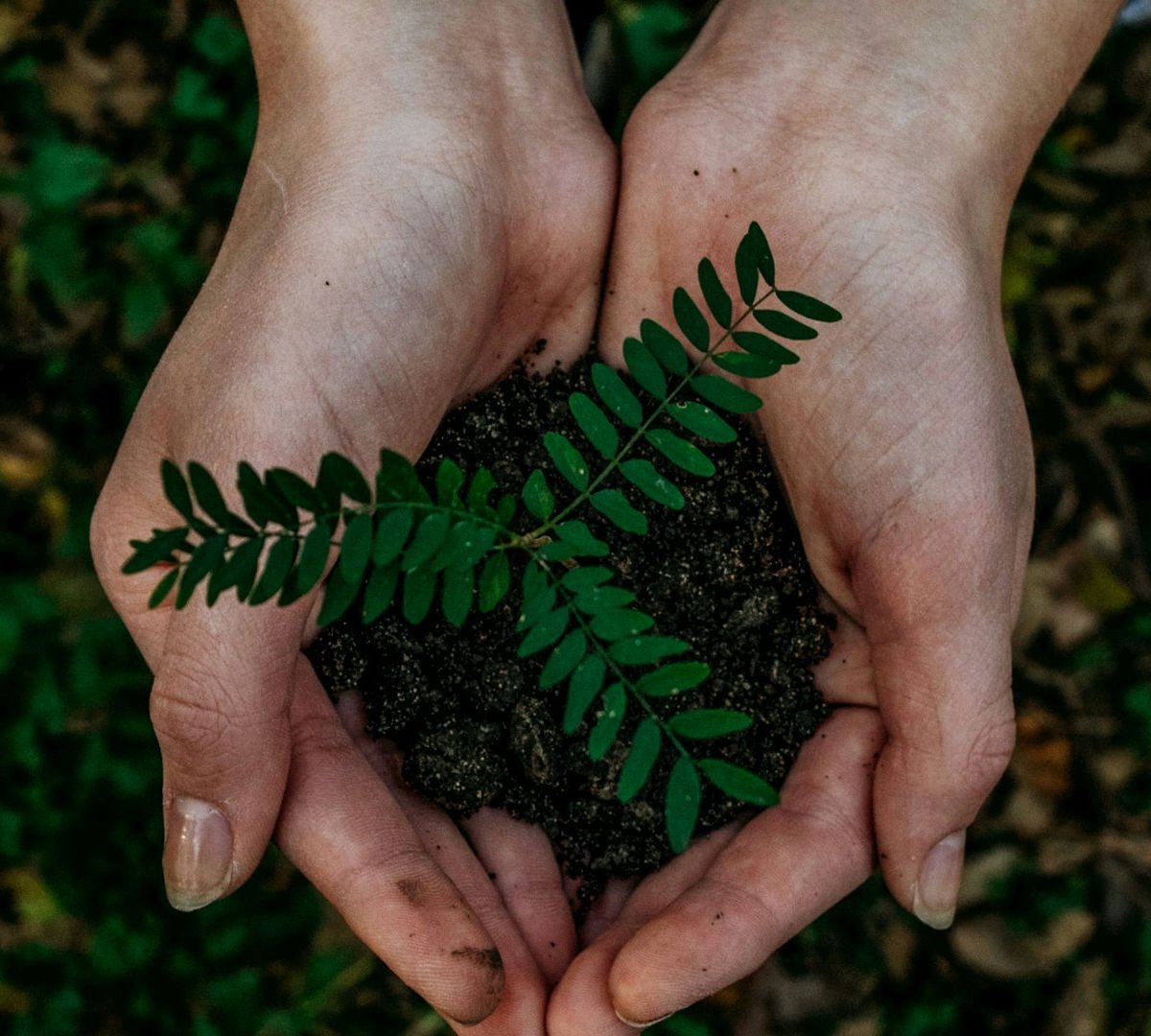 Safety & Sustainability